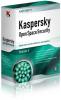 Kaspersky® Work Space Security R2  